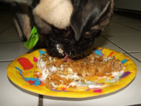 chowing down