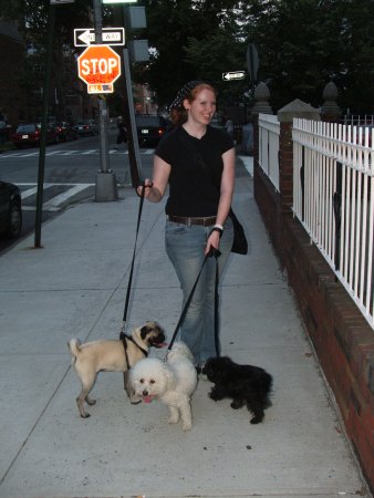 doggies