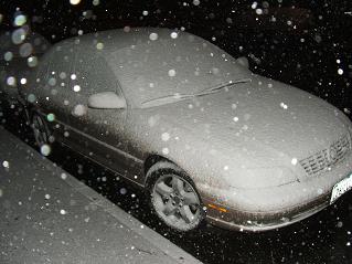 Snow Storm!