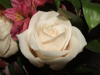 flowers5.jpg