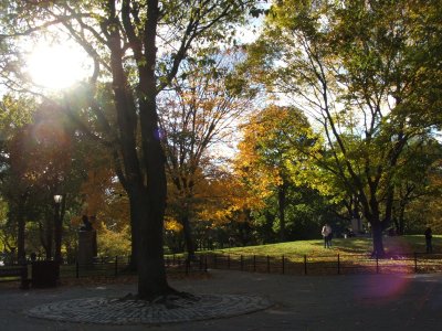 park1.JPG
