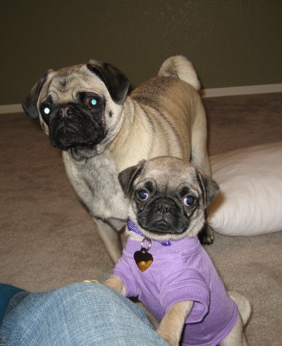 brother and sister.JPG