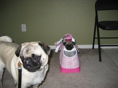 walking time.JPG