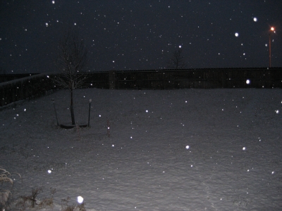 snow_morning.jpg
