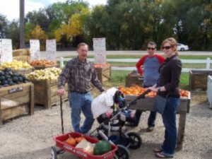 Pumpkin Patch