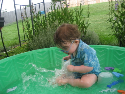 splash splash