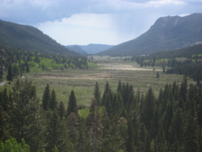 vista vista