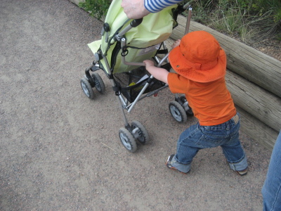 stroller stroller